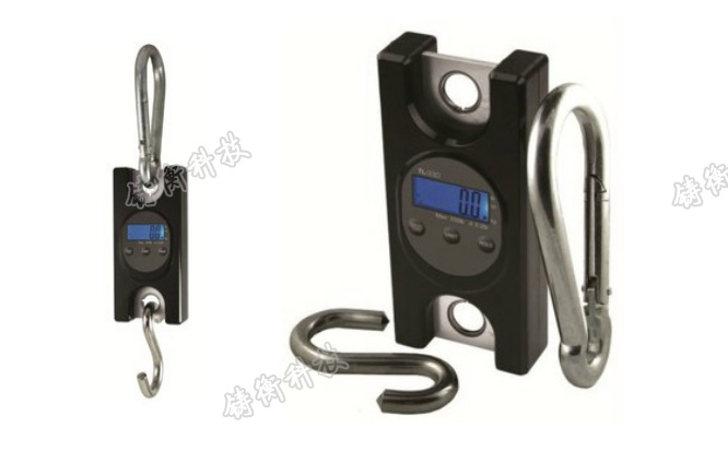 數(shù)顯測(cè)力儀